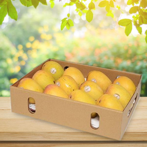 Premium Ratnagiri Mangoes 24