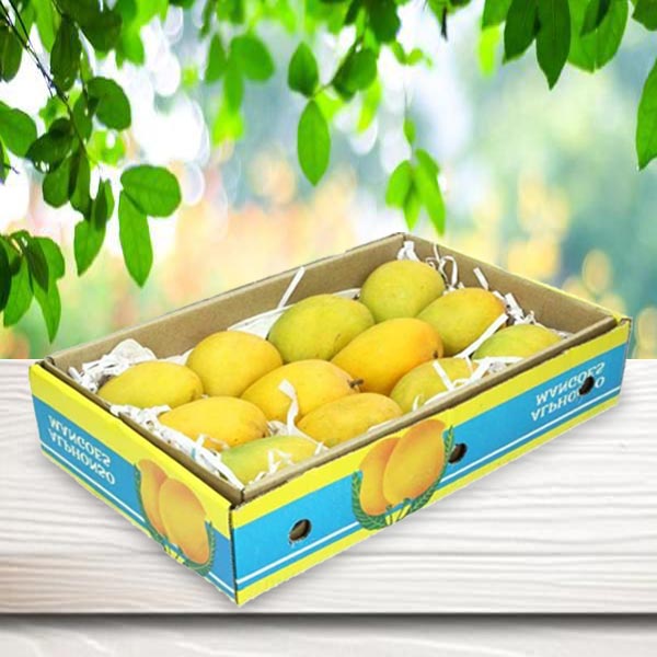 Alphonso Mango Gift Box of 24