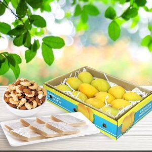 Royal Alphonso Mango Hamper