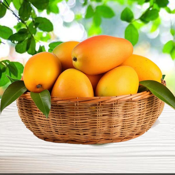 Seasonal Mango Basket