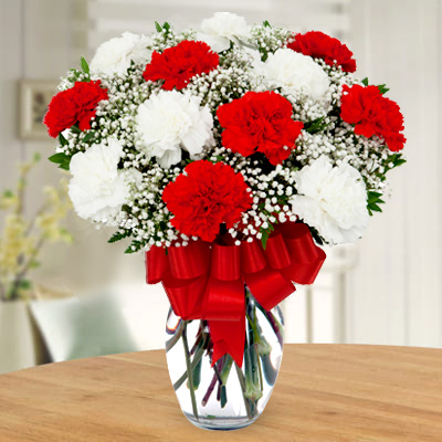 Red and White Carnation Vase