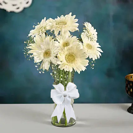 White Gerberas Flower Vase