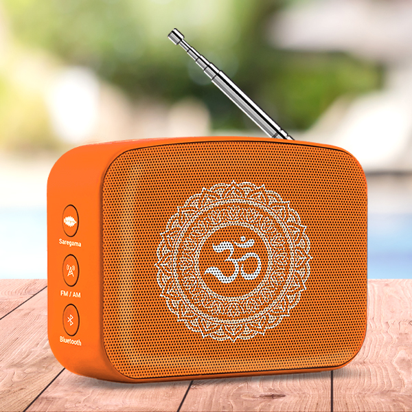 Saregama Carvaan Mini 2.0 Bhakti