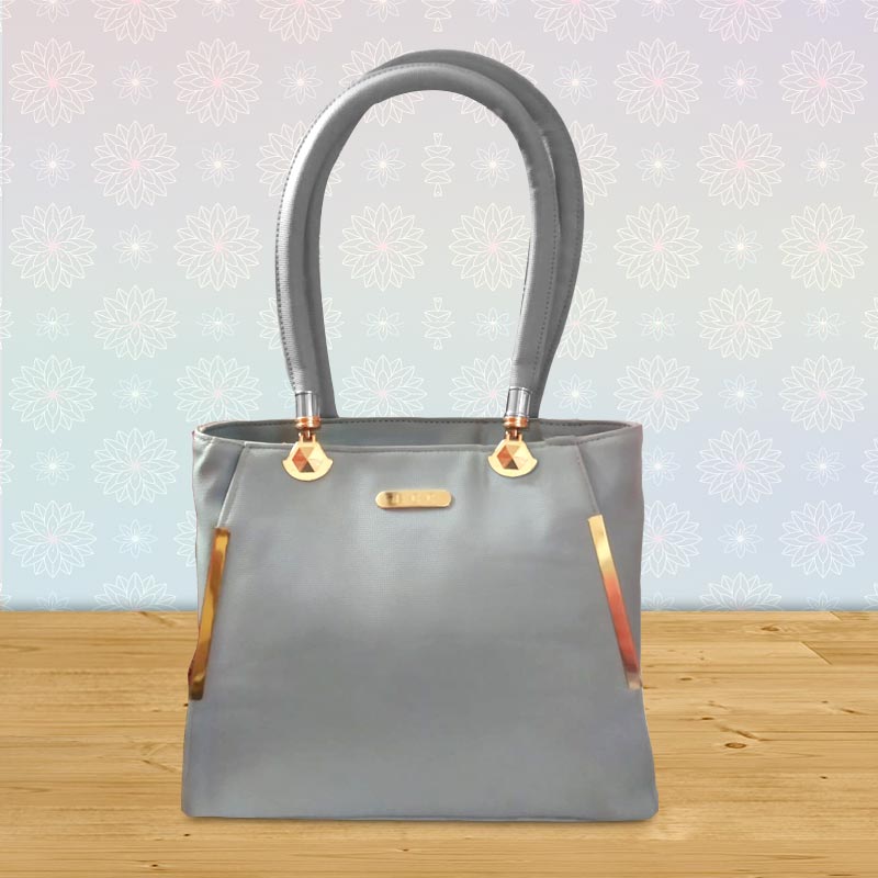 Fashionista Ladies Bag