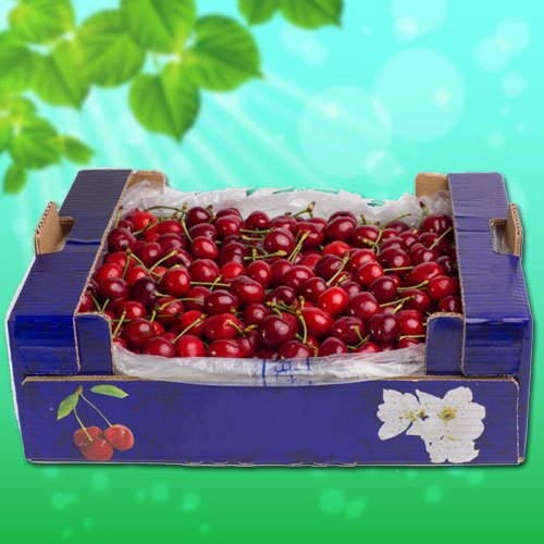 Fresh Cherry Fruits Box