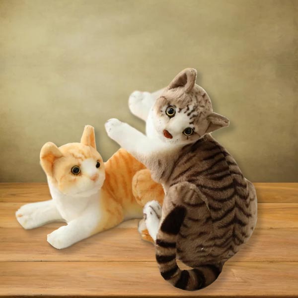 My Cute Cats Soft Toys